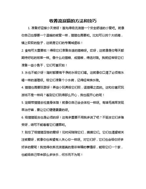 收养流浪猫的方法和技巧