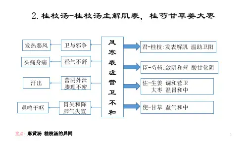 中医方剂思维导图