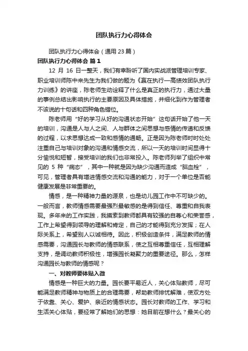 团队执行力心得体会