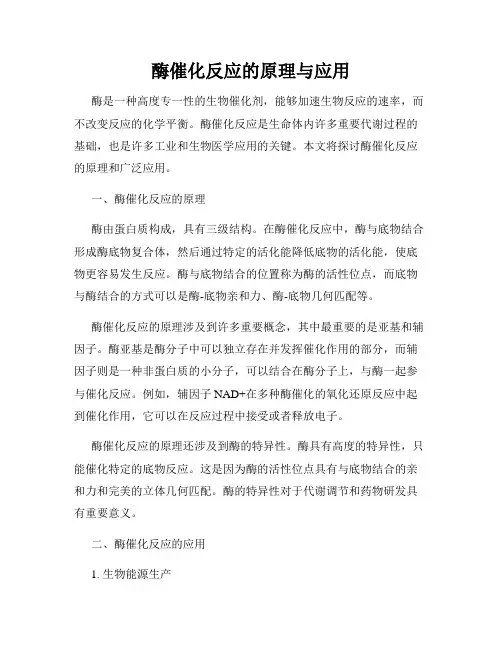 酶催化反应的原理与应用