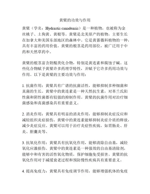 黄檗的功效与作用