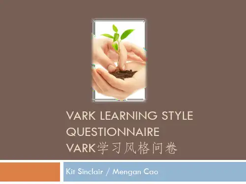 VARK学习风格问卷