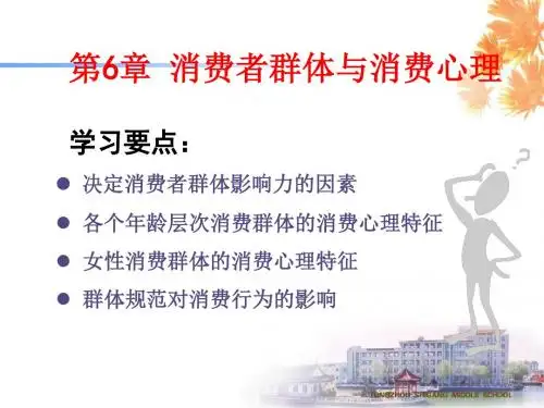 第六章消费者群体与消费心理-PPT精品文档