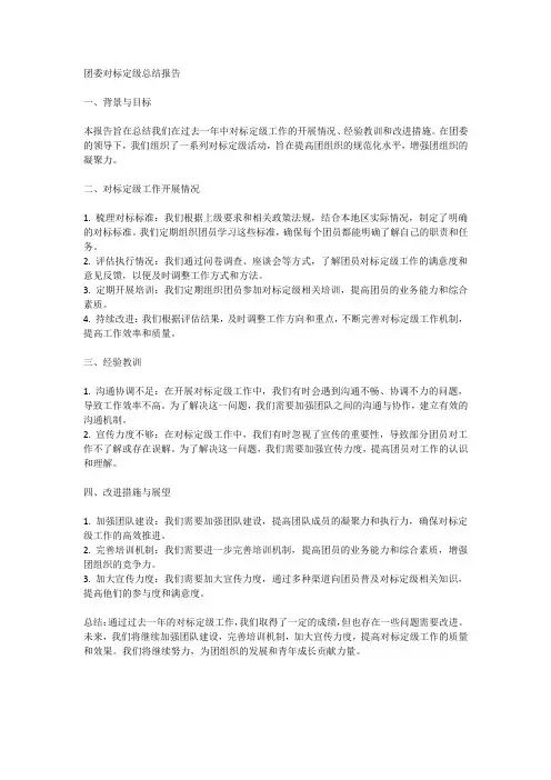 团委对标定级总结报告
