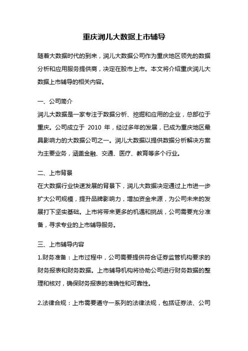 重庆润儿大数据上市辅导