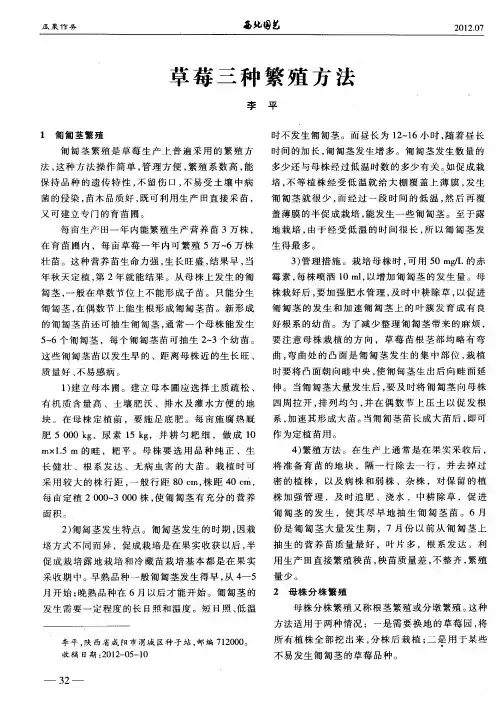 草莓三种繁殖方法