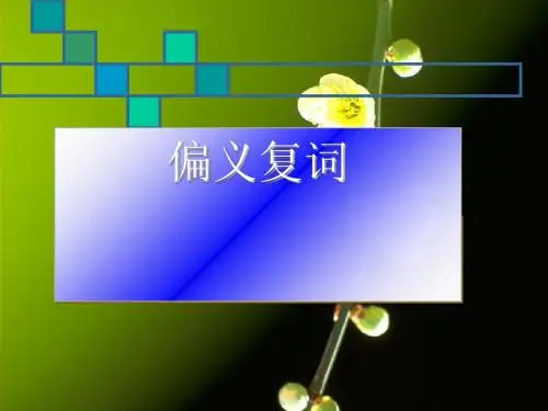 高考复习文言文偏义复词PPT (共25张PPT)
