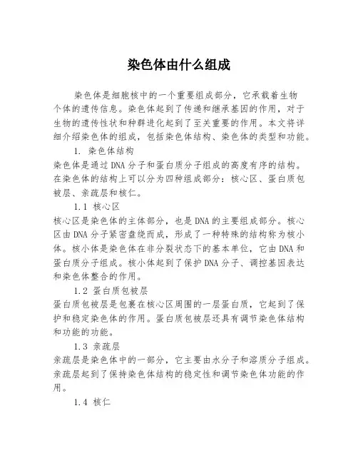 染色体由什么组成