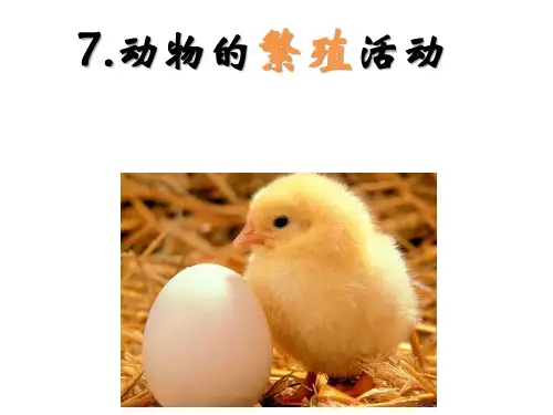 2.7动物的繁殖活动