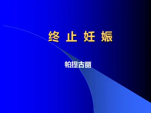 终止妊娠 PPT课件