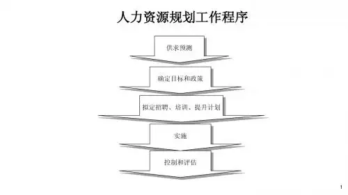 5人力资源规划内容及程序