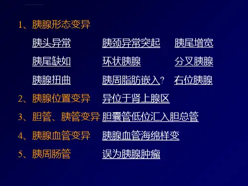胰腺解剖与常见变异ppt课件