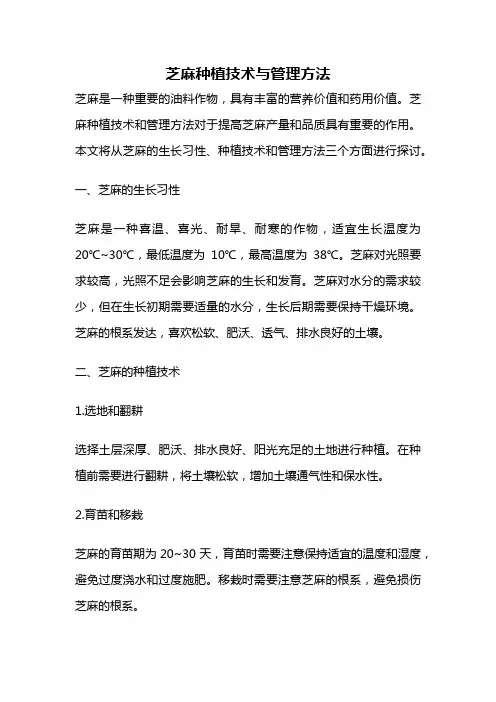 芝麻种植技术与管理方法