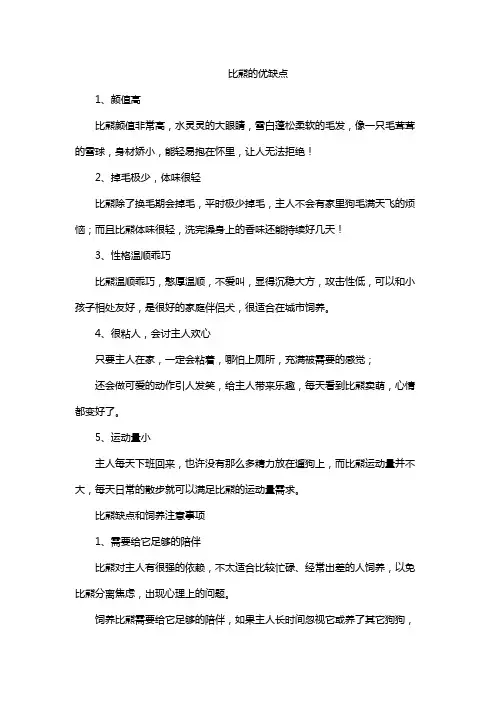 比熊的优缺点