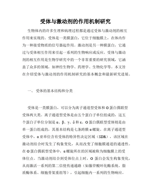 受体与激动剂的作用机制研究