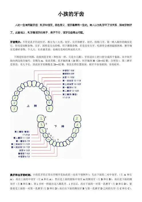 家有宝宝不可不知专业的牙齿知识大全