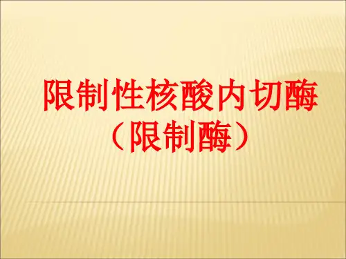 江西省新余市第四中学高三一轮复习人教版生物选修三课件专题111限制性核酸内切酶(共12张PPT)