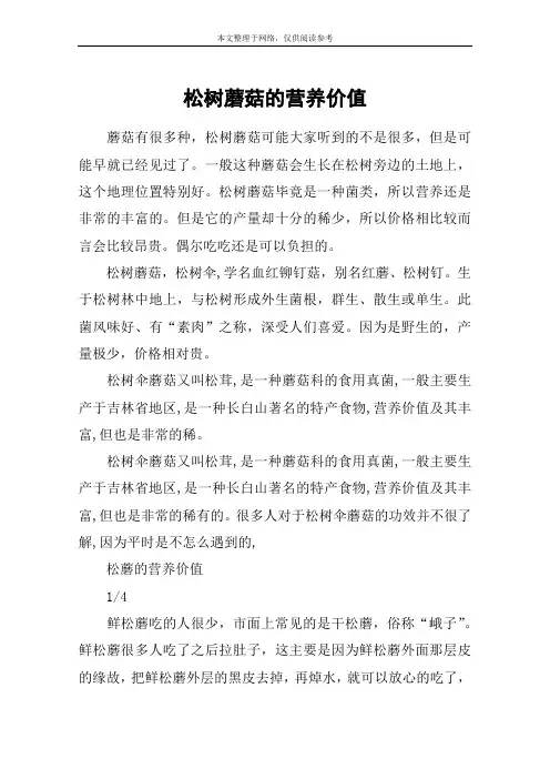 松树蘑菇的营养价值