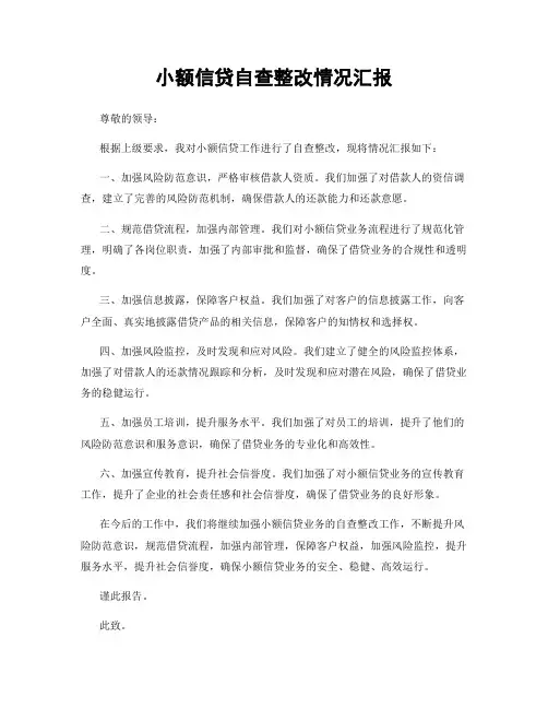 小额信贷自查整改情况汇报