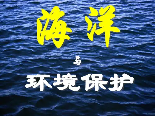 海洋与环境保护ppt模板