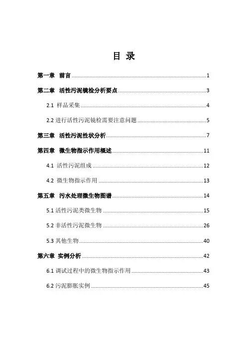 污水处理指示性微生物图谱