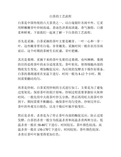 白茶的工艺流程