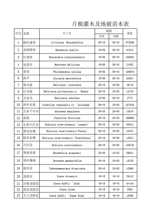 苗木表