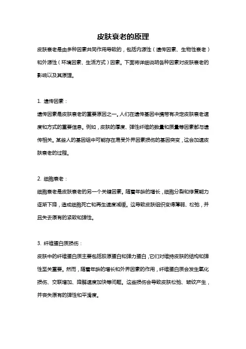 皮肤衰老的原理