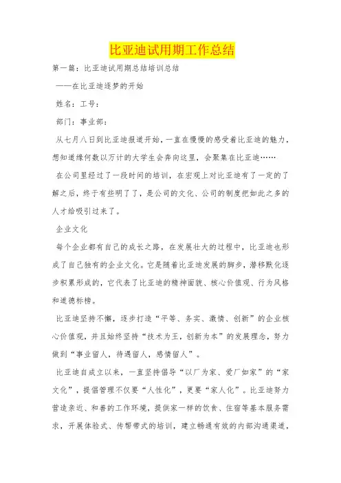 比亚迪试用期工作总结