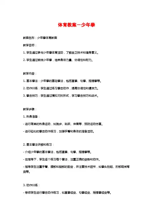 体育教案-少年拳