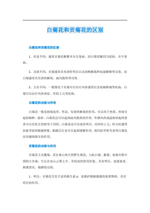 白菊花和贡菊花的区别