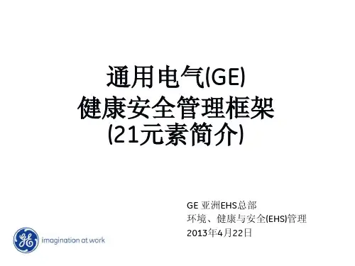 GE健康安全框架_21元素介绍