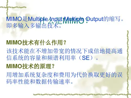多天线的空间调制技术SM