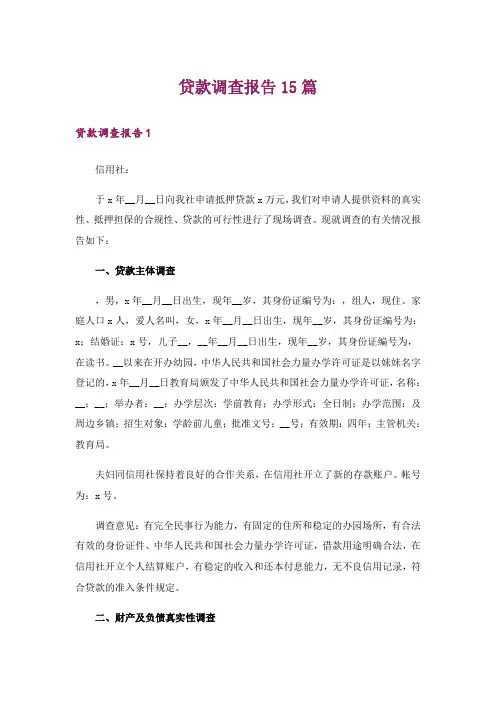 贷款调查报告15篇