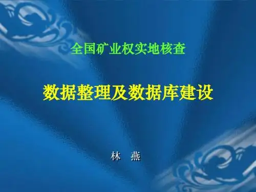 全国矿业权实地核查数据整理及数据库建设