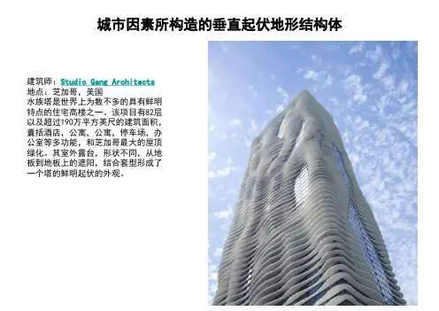 高层建筑设计实例分析 共51页PPT资料