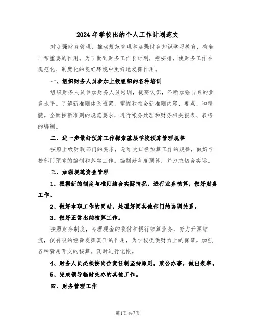 2024年学校出纳个人工作计划范文（3篇）