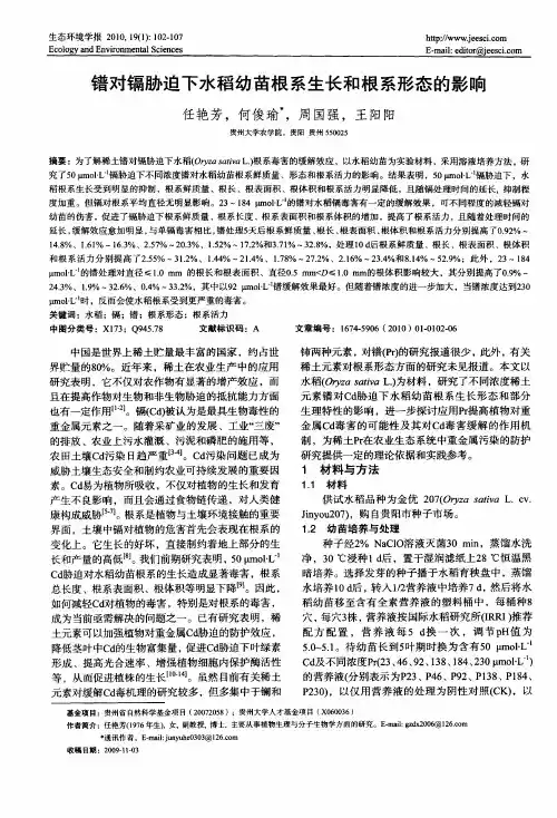 镨对镉胁迫下水稻幼苗根系生长和根系形态的影响