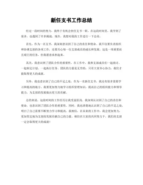 新任支书工作总结