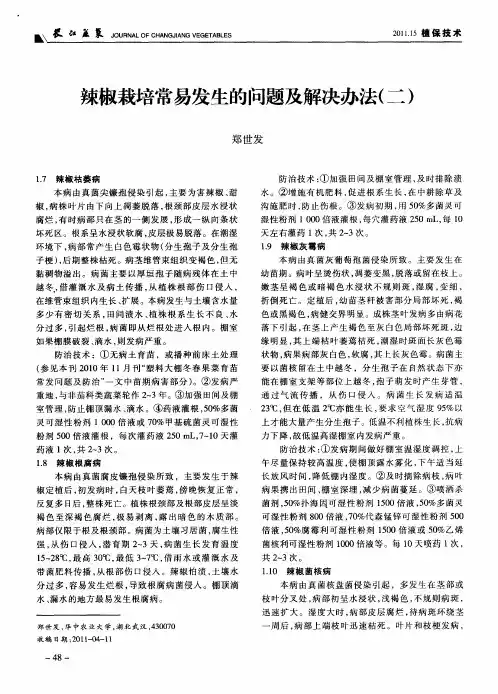 辣椒栽培常易发生的问题及解决办法(二)