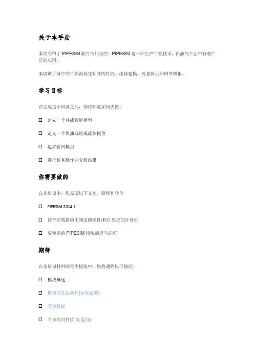 PIPESIM软件教程