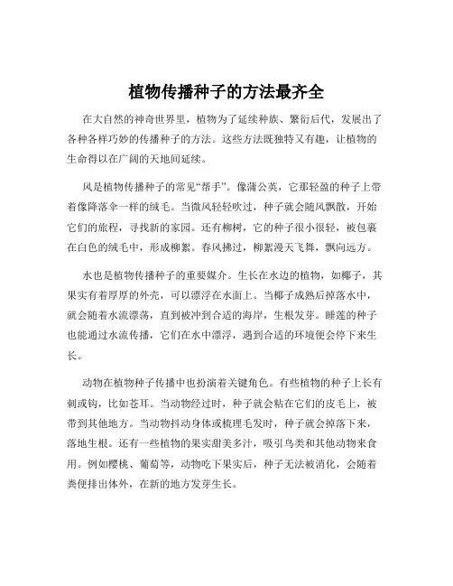 植物传播种子的方法最齐全