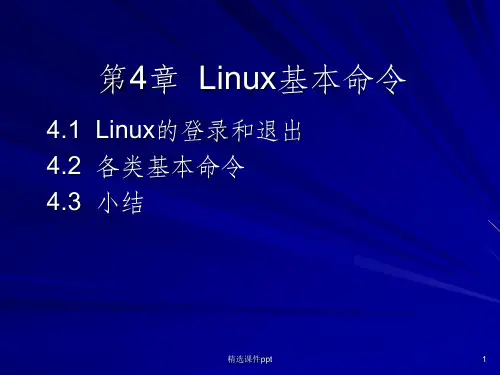 《L4Linux基本命令》PPT课件