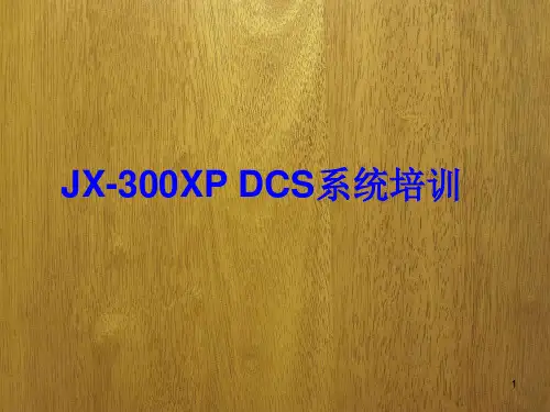 JX-300XPDCS系统培训