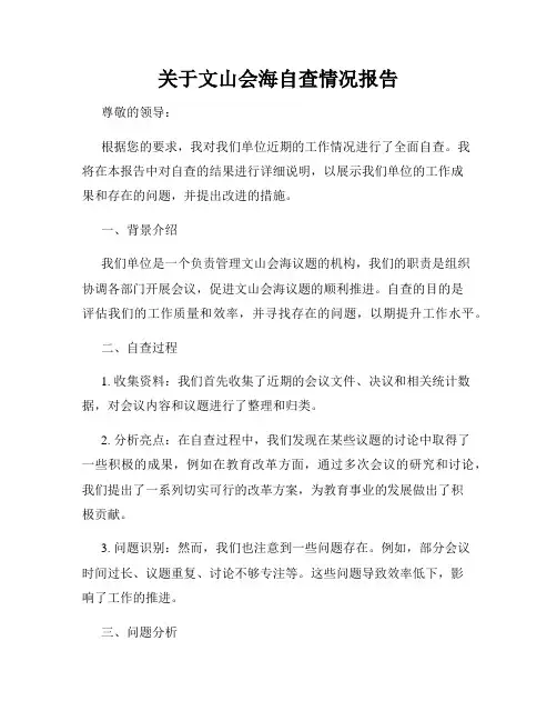 关于文山会海自查情况报告