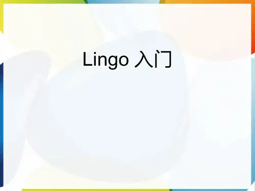 怎样使用LINGO软件