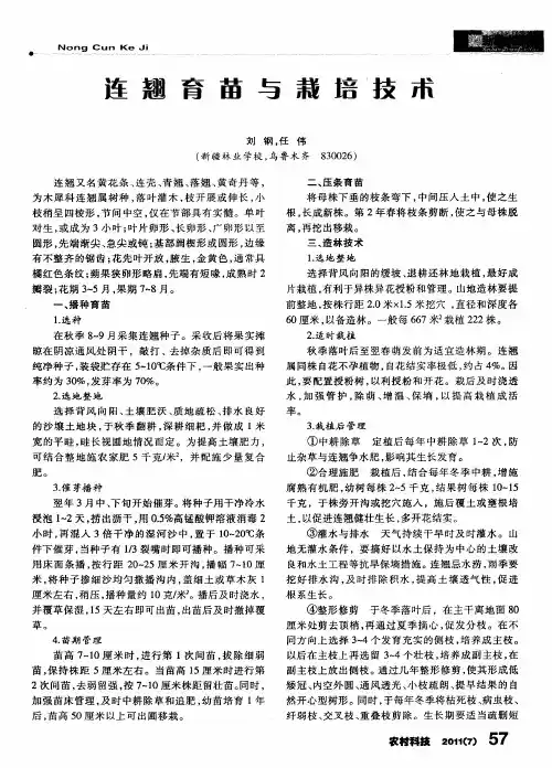 连翘育苗与栽培技术