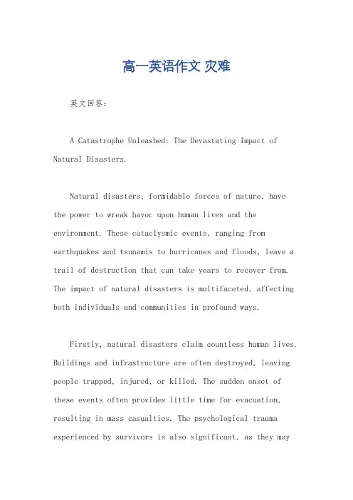 高一英语作文 灾难
