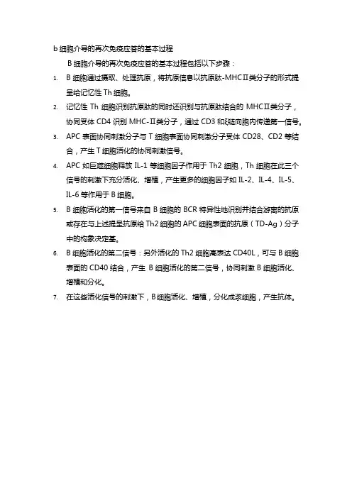 b细胞介导的再次免疫应答的基本过程