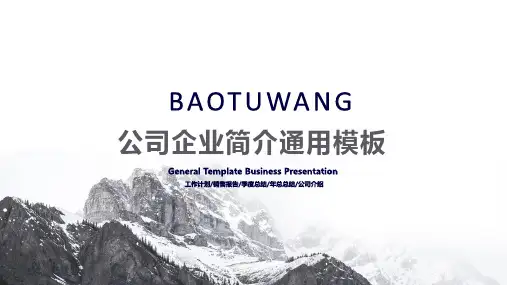 公司介绍与销售总结ppt